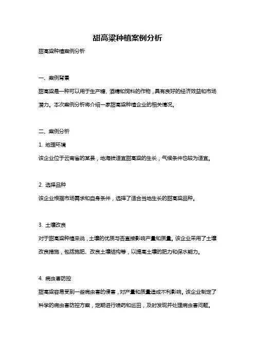 甜高粱种植案例分析