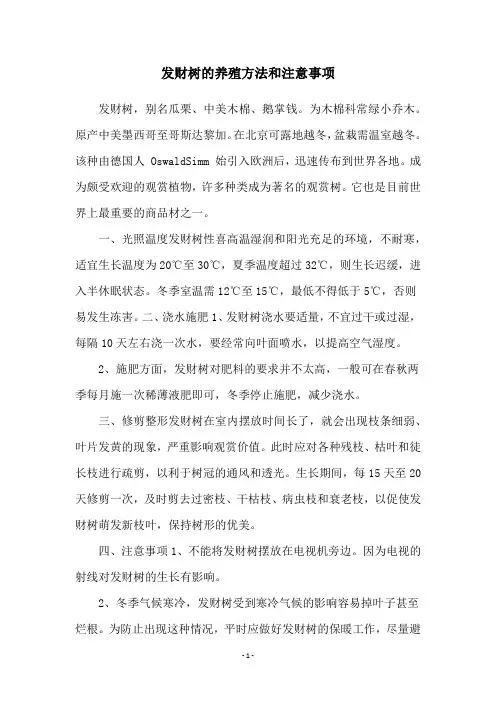 发财树的养殖方法和注意事项