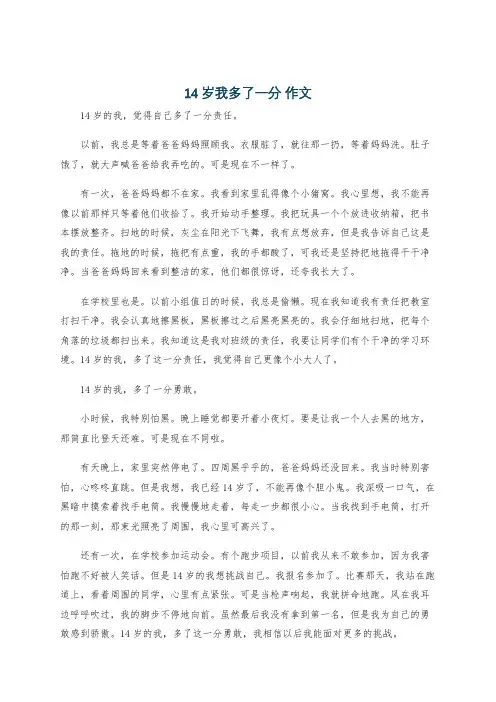 14岁我多了一分 作文