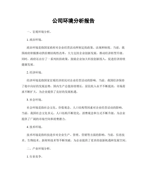 公司环境分析报告