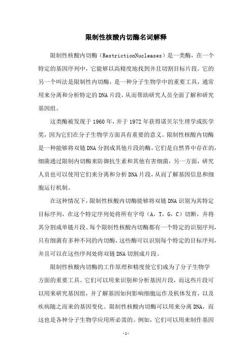限制性核酸内切酶名词解释