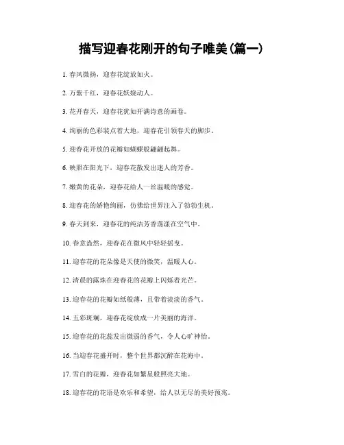 描写迎春花刚开的句子唯美(精选合集2篇)
