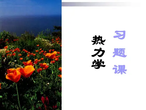 大学物理第五版 热力学习题课
