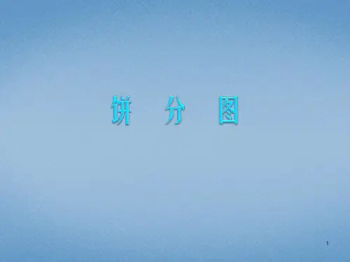 饼分图ppt课件
