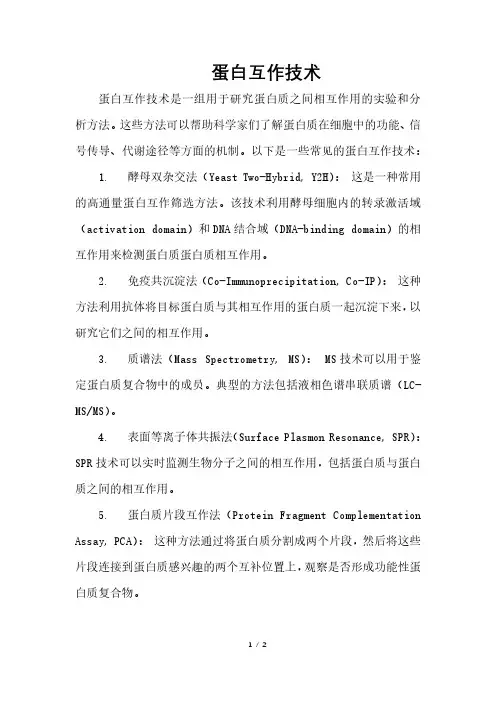 蛋白互作技术