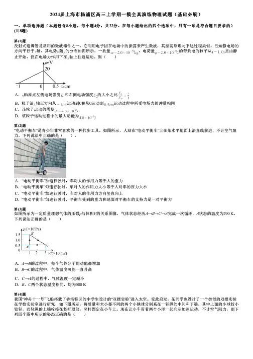2024届上海市杨浦区高三上学期一模全真演练物理试题(基础必刷)