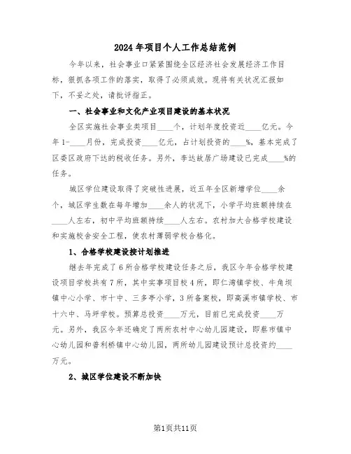 2024年项目个人工作总结范例(4篇)