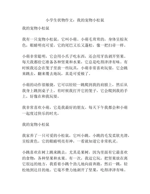 小学生状物作文：我的宠物小松鼠