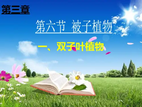 冀少儿2022课标版初中生物七年级上册第一单元 第三章第六节 被子植物(共20张PPT)