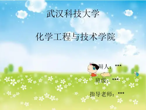 化工毕业设计答辩