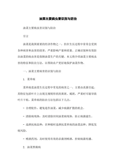 油菜主要病虫害识别与防治-无删减范文
