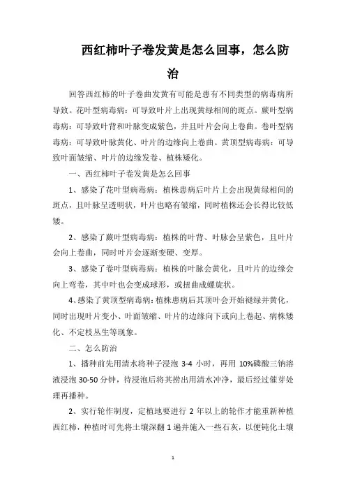 西红柿叶子卷发黄是怎么回事,怎么防治