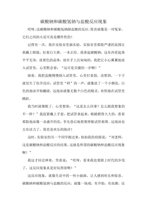 碳酸钠和碳酸氢钠与盐酸反应现象