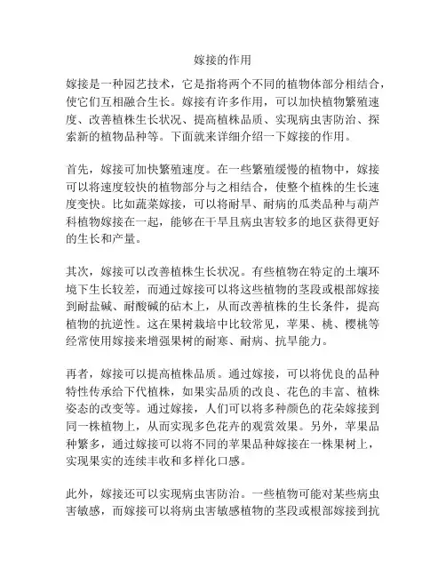 嫁接的作用