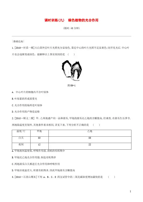 北京中考生物复习主题 生物圈中的绿色植物 课时训练 绿色植物的光合作用