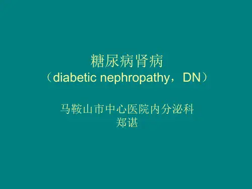糖尿病肾病幻灯ppt课件