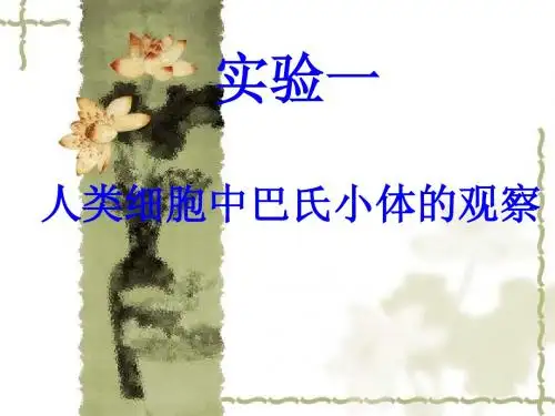 人类巴氏小体的制备及观察