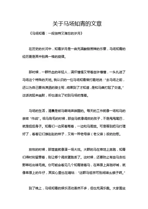 关于马场知青的文章