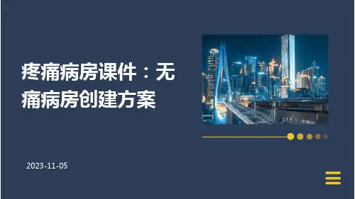 疼痛病房课件无痛病房创建方案课件