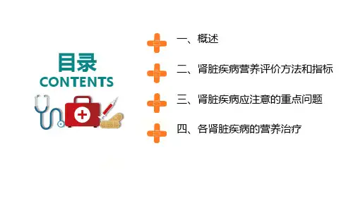 肾脏疾病的营养治疗医学类PPT授课课件