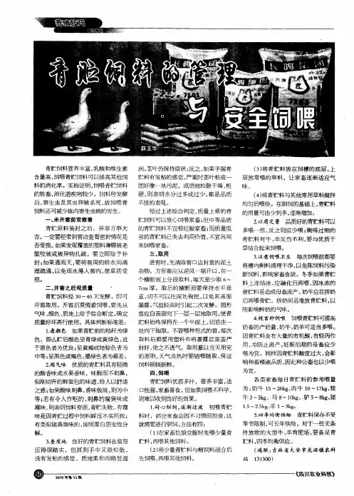 青贮饲料的管理与安全饲喂