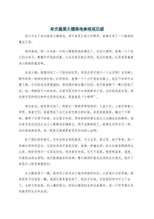 寿光蔬菜大棚基地参观观后感