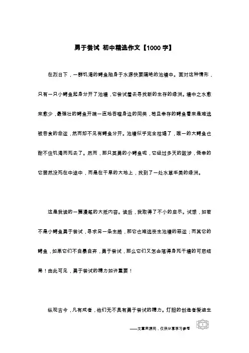 勇于尝试 初中精选作文【1000字】