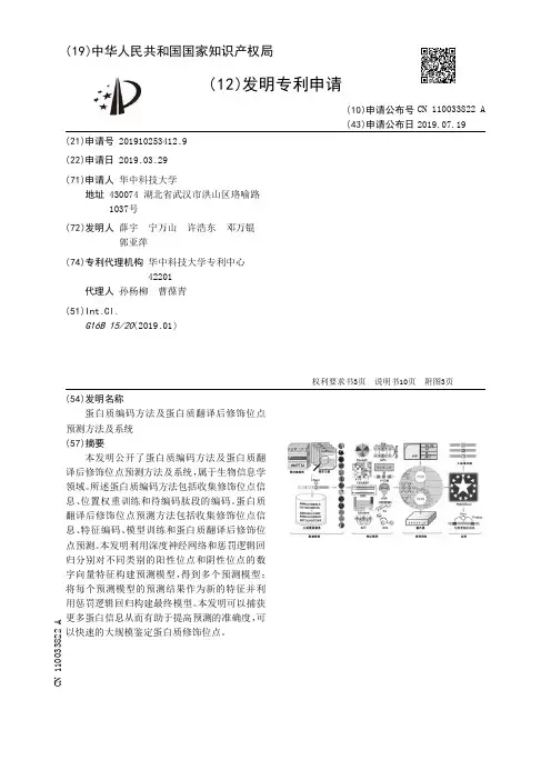 【CN110033822A】蛋白质编码方法及蛋白质翻译后修饰位点预测方法及系统【专利】