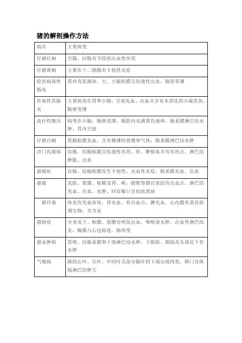 猪解剖流程及诊断图