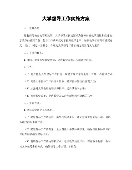 大学督导工作实施方案