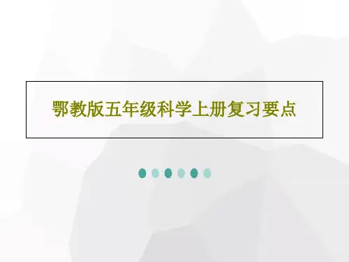 鄂教版五年级科学上册复习要点共30页文档