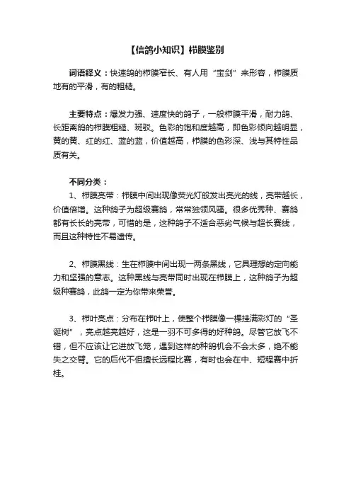 【信鸽小知识】栉膜鉴别