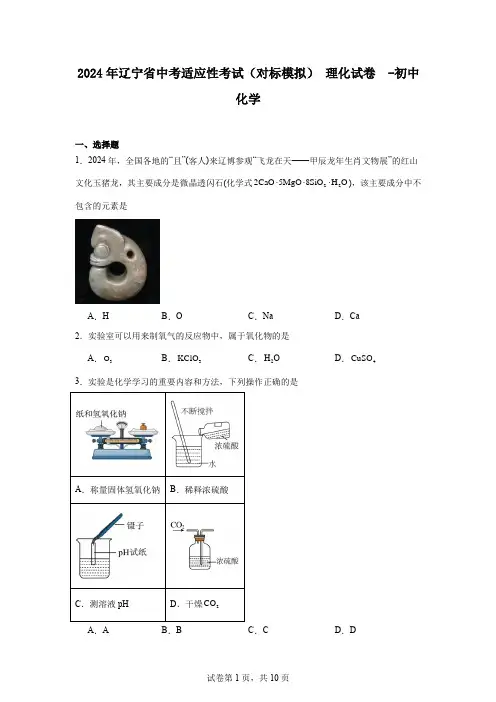 2024年辽宁省中考适应性考试(对标模拟)理化试卷 -初中化学