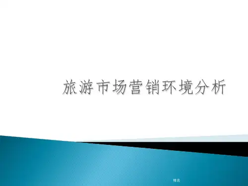 旅游市场营销环境分析ppt课件