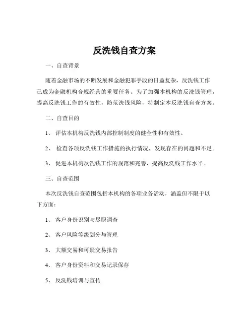 反洗钱自查方案