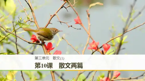 粤教版高中语文必修1课件：3.10-散文两篇(共52张PPT)