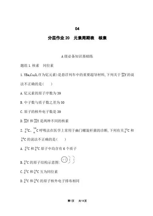 人教版高中化学必修第一册课时规范练 第4章 物质结构 元素周期律 分层作业20 元素周期表 核素
