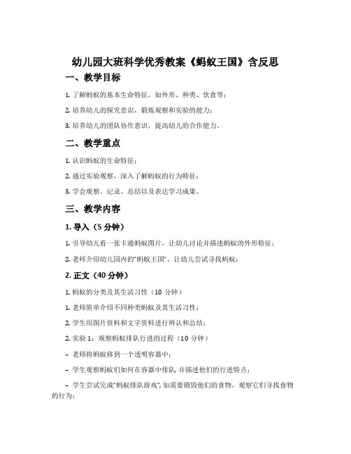 幼儿园大班科学优秀教案《蚂蚁王国》含反思
