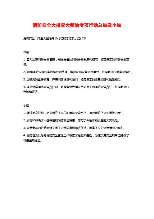 消防安全大排查大整治专项行动总结及小结