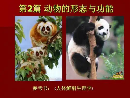 动物的形态与功能