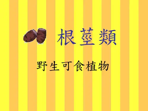 根茎类野生可食植物