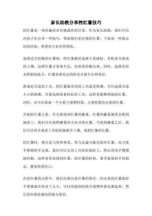 家长助教分享挖红薯技巧
