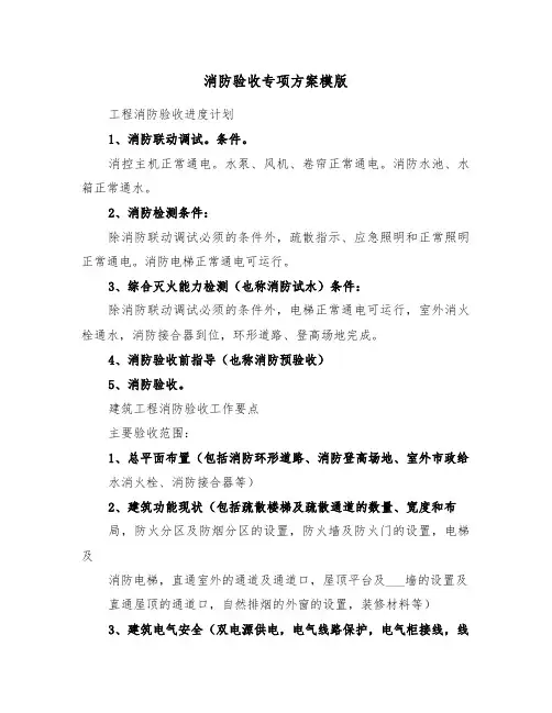 消防验收专项方案模版(二篇)