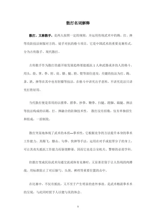 散打名词解释