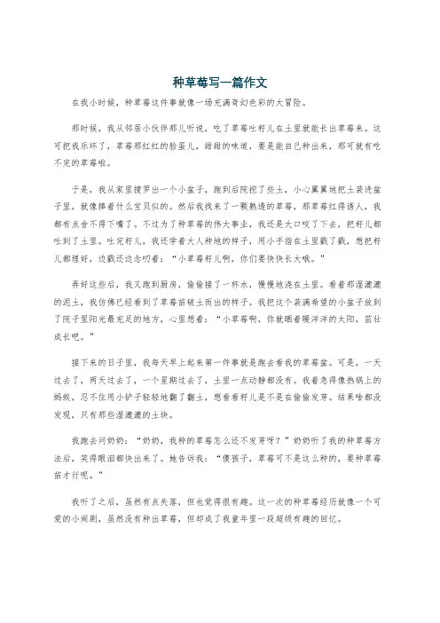 种草莓写一篇作文