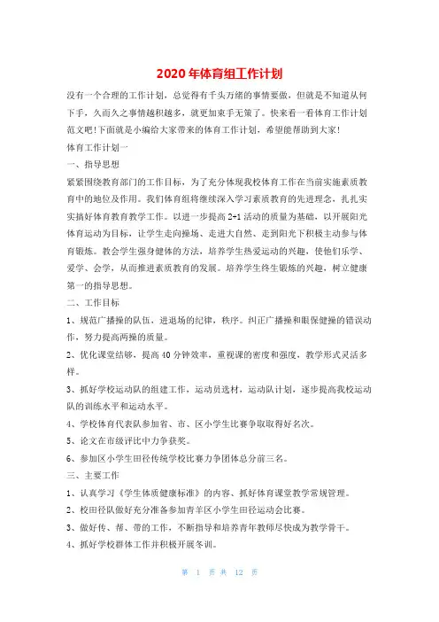 2020年体育组工作计划的
