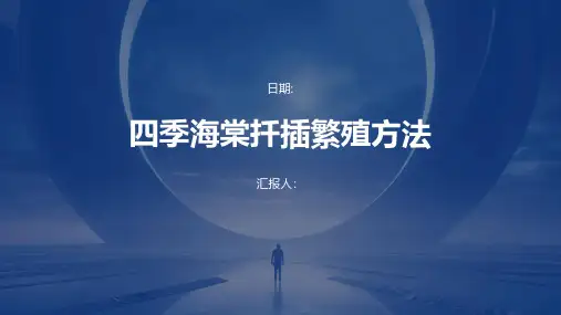 四季海棠怎样进行扦插繁殖