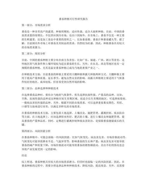番茄种植可行性研究报告
