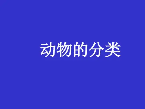 动物的分类