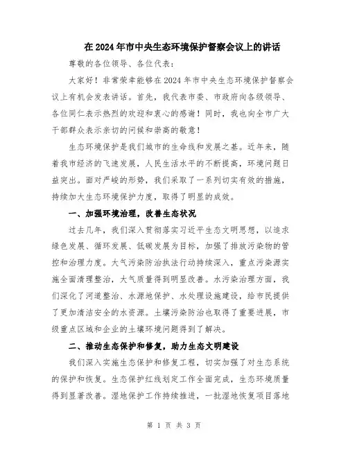 在2024年市中央生态环境保护督察会议上的讲话